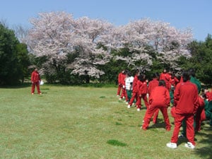 Interchange with a basic course of the Nursing Department and the specialized course